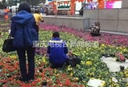 重庆小学爆料案件最新情况,真相逐步浮出水面